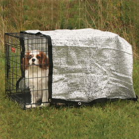 PS Solar Canopy 10x12Ft